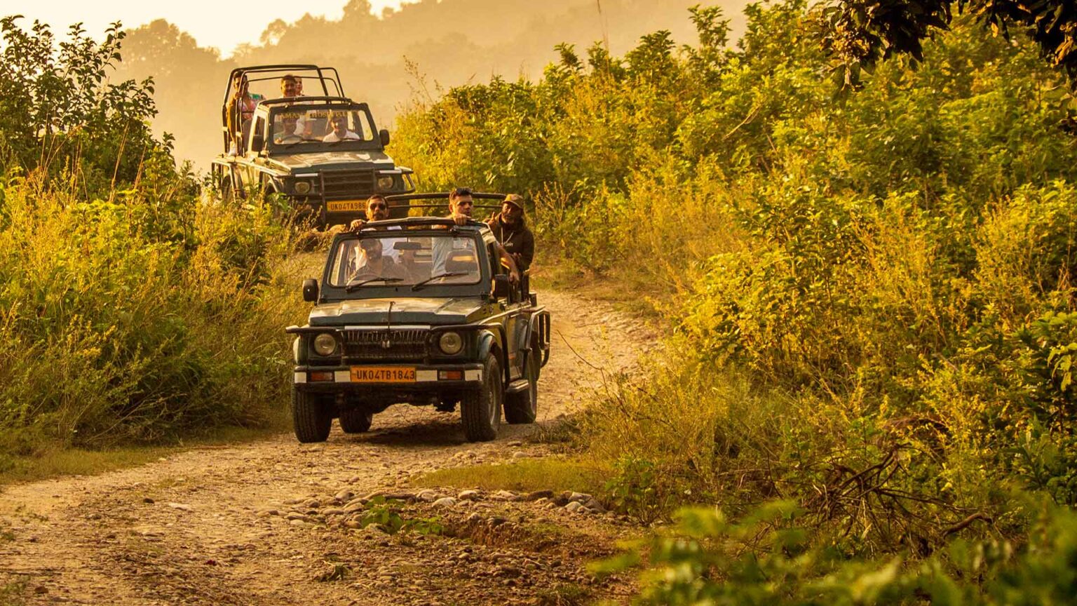 Jeep Safari